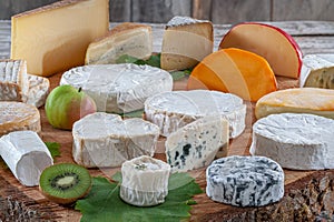 Wide variety of cheeses on platter