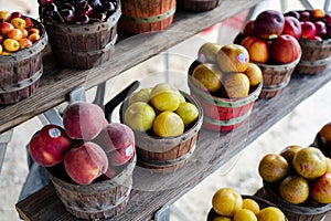 Wide variety of homegrown fruits on wooden basket and shelves at roadside market stand in Santa Rosa, Destin, Florid, fresh picked