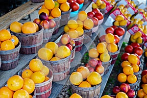 Wide variety of homegrown fruits on wooden basket and shelves at roadside market stand in Santa Rosa, Destin, Florid, fresh picked