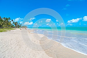 Wide view of Barra Grande beach, Maragogi - AL, Brazil photo