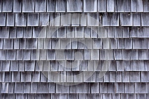 Wide view of cedar shingles which have shrunk and faded gray with age