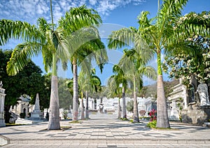 Wide view of a cemetery in Guayaquil