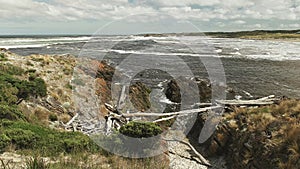 Wide view of the dark tannin water at the arthur river mouth in tasmania