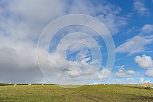 Wide view on Dutch landscape with sheep, meadow and cloudy skies