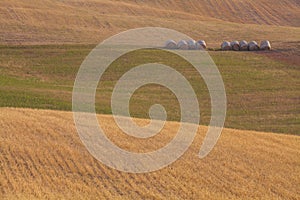 Wide view of a field and hills with bal of hay in background in Val d`Orcia, Tuscany