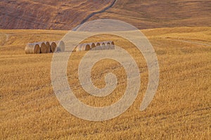 Wide view of a field and hills with bal of hay in background in Val d`Orcia, Tuscany