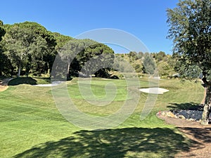 Wide view of golf green surrounded by trees