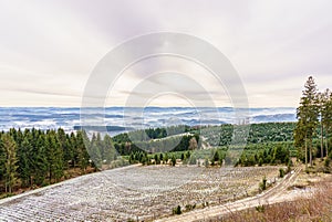 Wide view of an idyllic valley with meadows, trees and forest