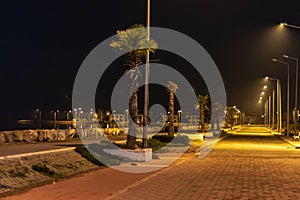 A wide view night shoot from coastal road - palm trees and city lights