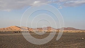 A wide view of a nomadic settlement and sand dunes of the Sahara Desert.