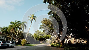 Wide View of palm trees of downtown, Driving on the road Naples Florida USA