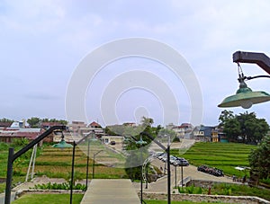 Wide view of ricefields