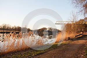 Wide view on the river and plants in foreground at a lost place in fresenburg emsland germany