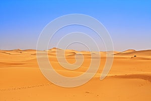 Wide view of sand dunes