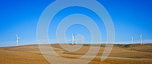 Wide view of wind turbines on a hill in agricultural farm fields in South Africa