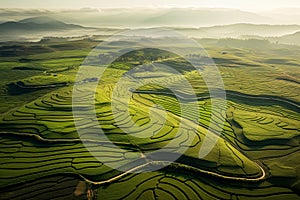 Wide views of crops where drones and technology coexist a combination of innovation and tradition