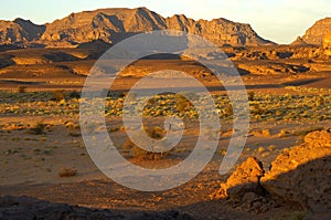 Wide wadi valley the golden morning sun