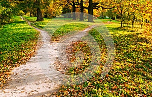 The wide walking trail divides into two narrow ones going in different directions. Autumn landscape in the rays of sunset