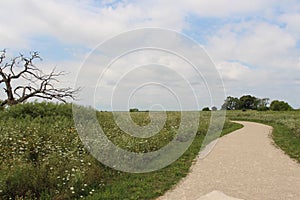 A wide walking trail through a prairie filled with wildflowers grasses and some trees in Ethel`s Woods Forest Preserve