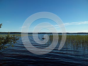 Wide wide lakes in the beautiful nature