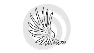 Wide wing icon animation