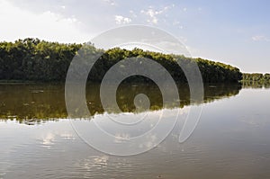 Wide yellow river is slow flowing. Early autumn. Sunny weather and brightgreen trees on the banks fron the both sides