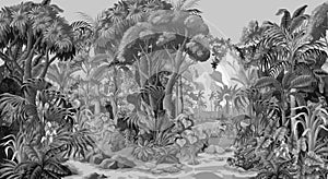 Widescreen jungle landscape with mountane, river and trees, monochrome. Vector. photo