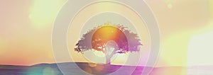 Widescreen sunset tree landscape with retro effect