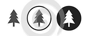 Widespread coniferous green tree icon . web icon set