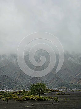 Widodaren Valley, near Mount Bromo Java Island Indonesia