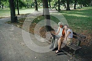 A widower is sitting on a bench in the park with his granddaughter, mourning his deceased wife.