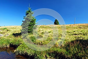 Wielka Izera meadows and river