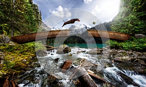 Wiener dog jumping over broken bridge above a stream