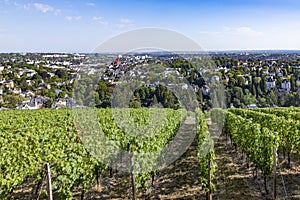 Wiesbaden, Germany as viewed from Neroberg, a hill to its north, where visitors may view a panorama of the city