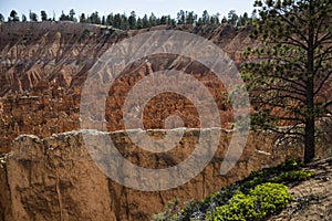 Wiew of Bryce Canyon