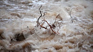 Wiew of detailm of branch on the water surface which is resisting the water