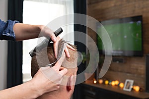 Wife cutting husbands hair at home in front of TV with scissors and holding comb in other hand