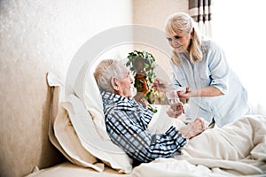 Wife giving pills and water to her husband