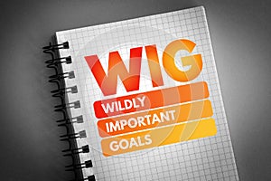 WIG - Wildly Important Goals acronym