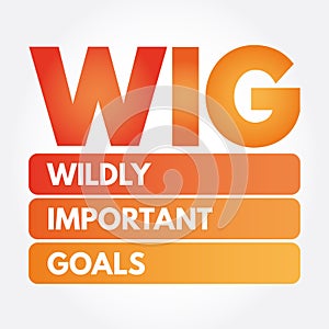 WIG - Wildly Important Goals acronym