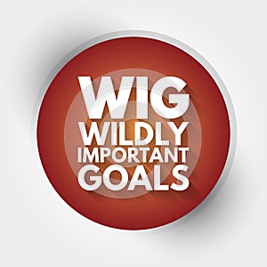 WIG - Wildly Important Goals acronym, business concept background