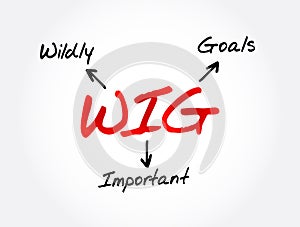 WIG - Wildly Important Goals acronym, business concept background photo