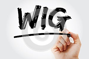 WIG - Wildly Important Goals acronym with marker, business concept background