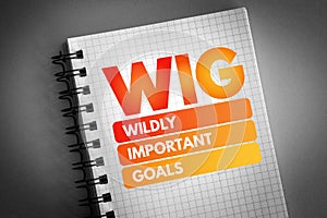 WIG - Wildly Important Goals acronym photo