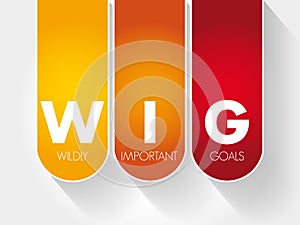 WIG - Wildly Important Goals acronym photo