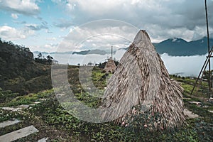 wigwam, an Indian hut from plant stems, against a background of green tropical vegetation, reconstruction. Traditional village.