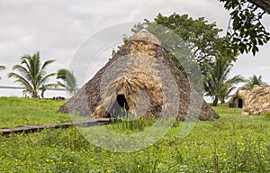 Wigwam, an Indian hut from plant stems, against a background of green tropical vegetation, reconstruction