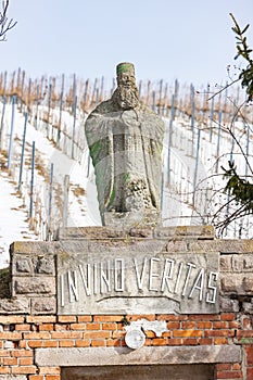 Wiine cellar near Vinicky, Tokaj region, Slovakia