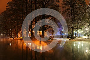 Wiinter night in the park