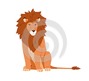 Wild adult male lion with mane. African feline animal sitting. Leo king with shaggy hairy fluffy head. Jungle cat